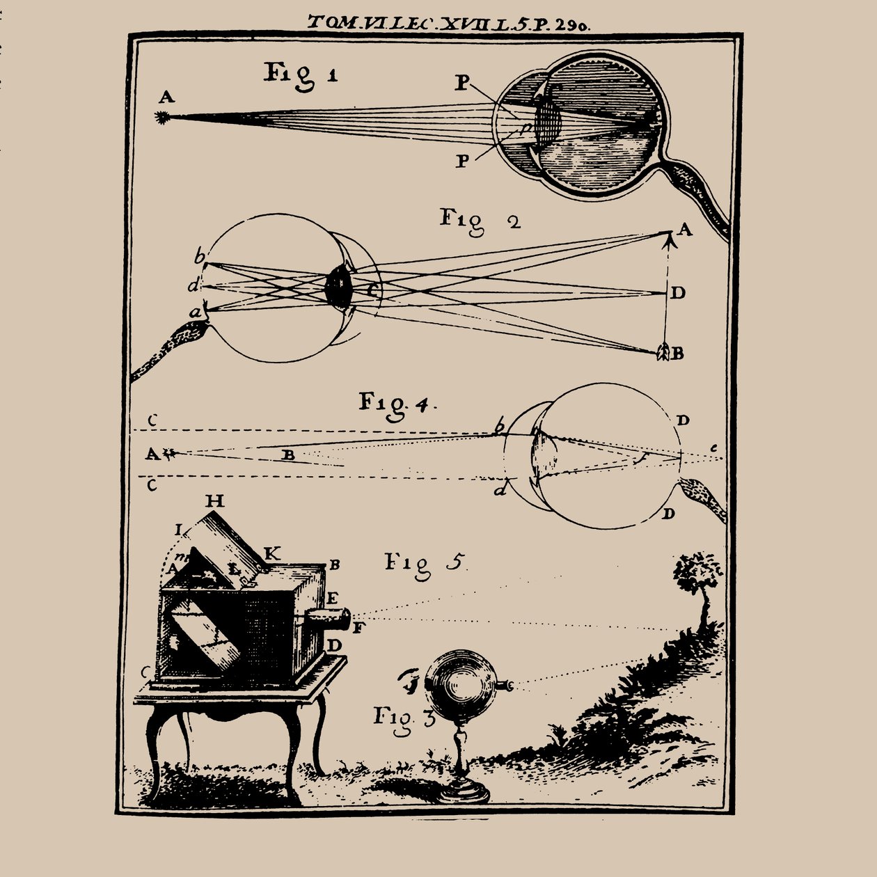 Sammenlignende skildring av det menneskelige øyet og camera obscura, 1700-tallet. av Unbekannt