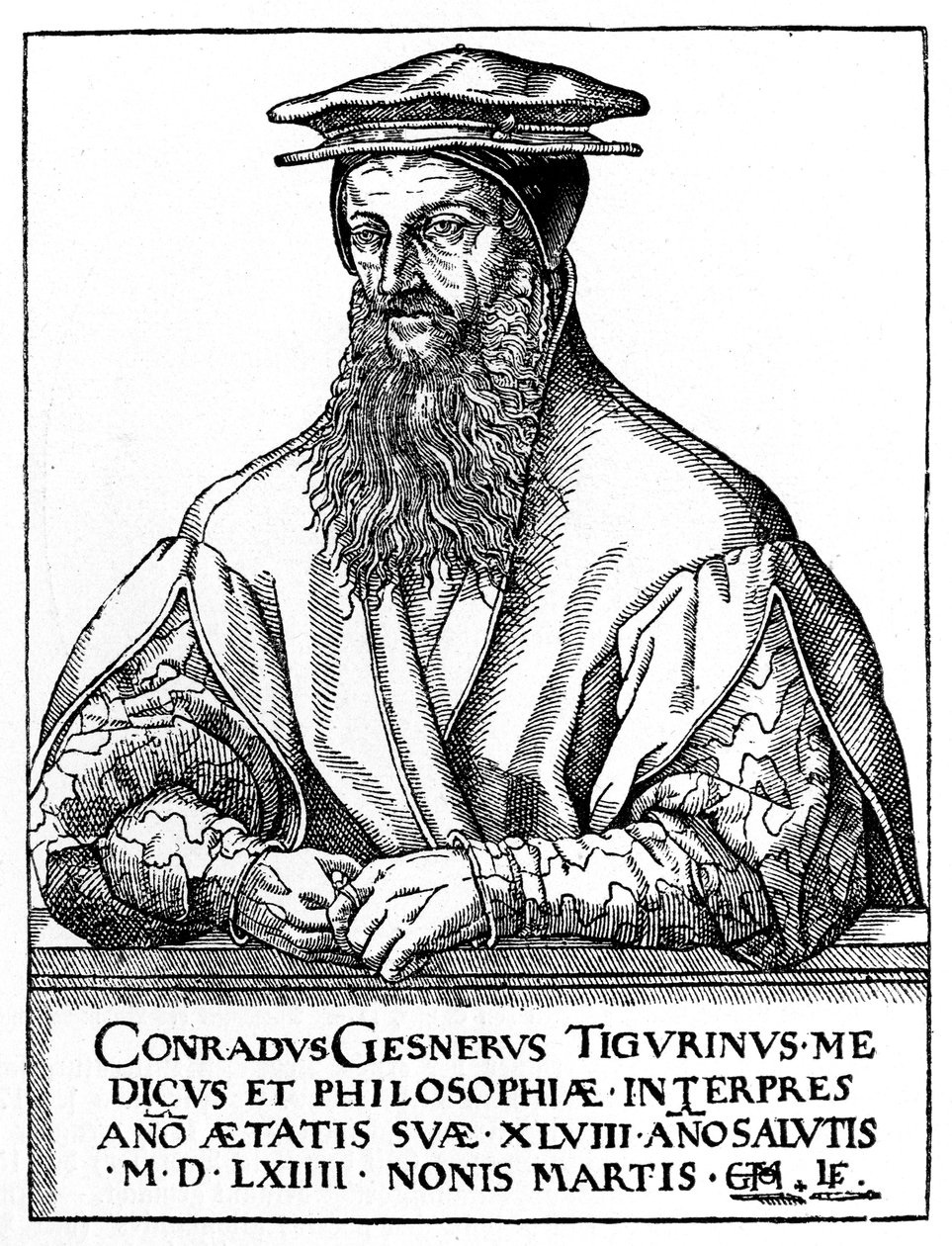 Conrad Gessner, sveitsisk naturforsker, 1887 av Unbekannt