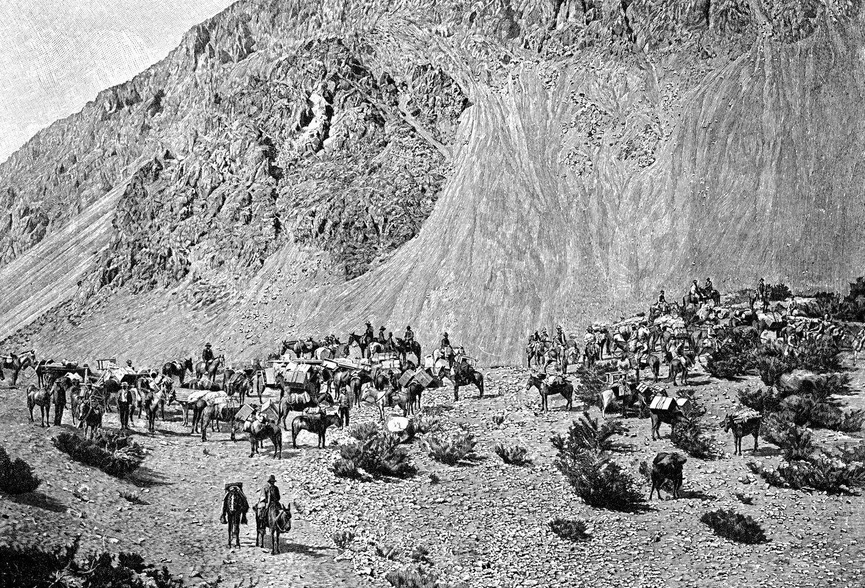 Konvoi av multere ved foten av Cordillera, Sør-Amerika, 1895 av Unbekannt