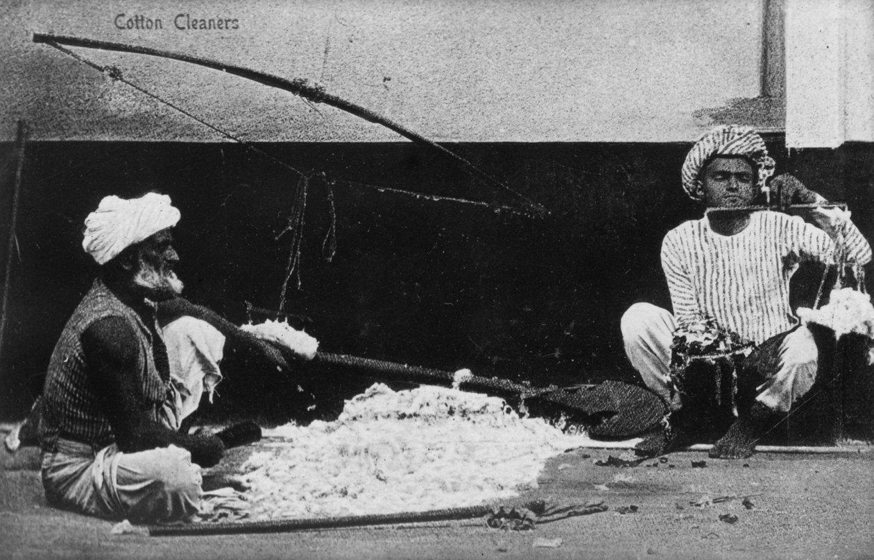Bomullsrensere, India, 1900-tallet av Unbekannt