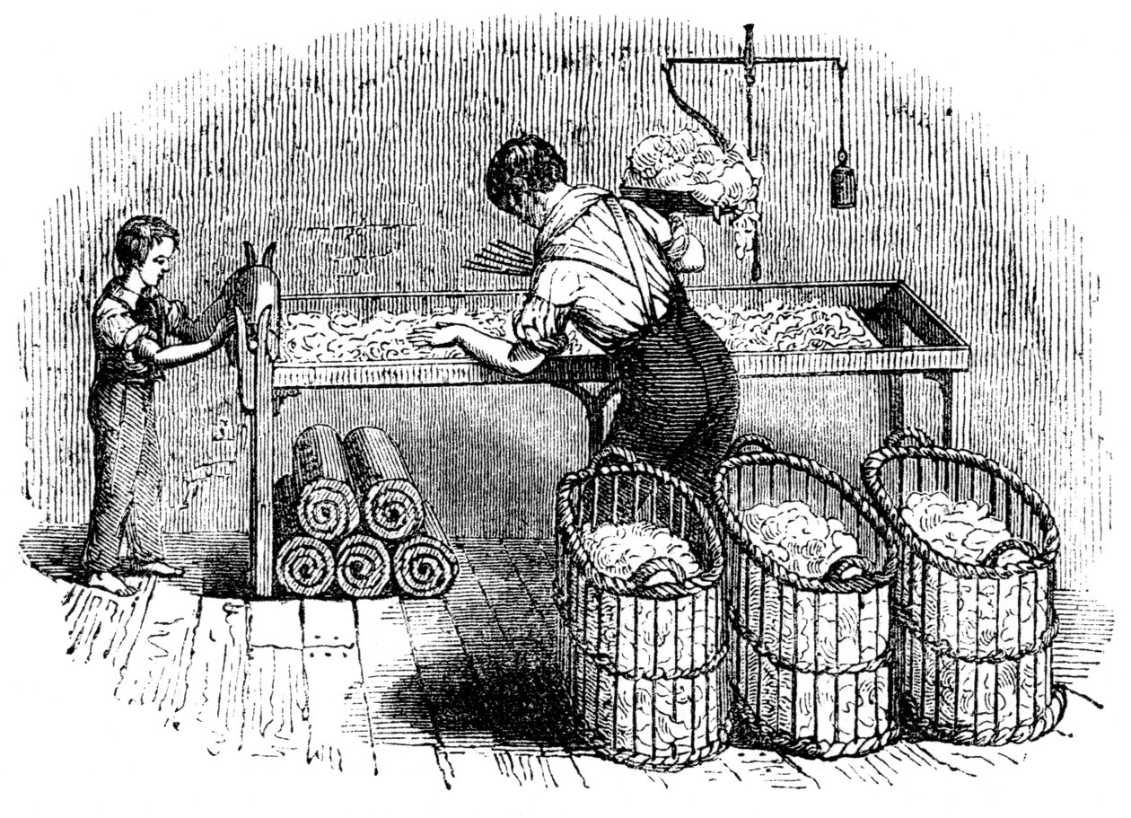 Bomullsproduksjon, c1845 av Unbekannt