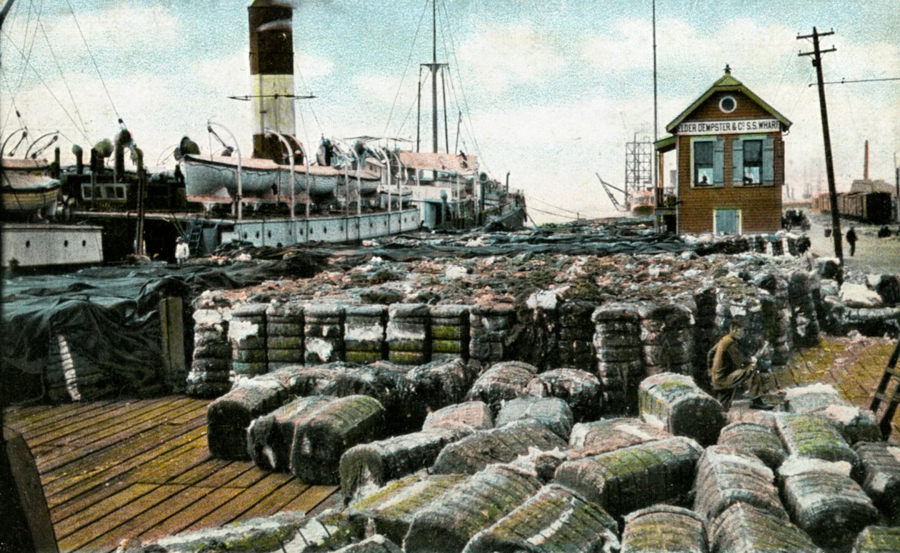 Cotton Wharves, New Orleans, Louisiana, USA, tidlig på 1900-tallet av Unbekannt