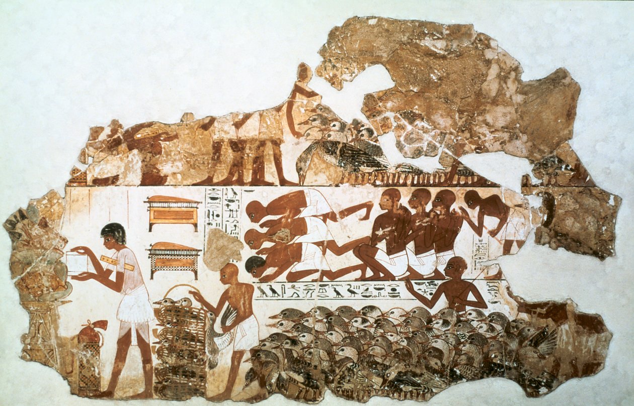 Å telle gjessene: fragment av veggmaleri fra graven til Nebamun, Theben, Egypt, c1350 f.Kr. av Unbekannt