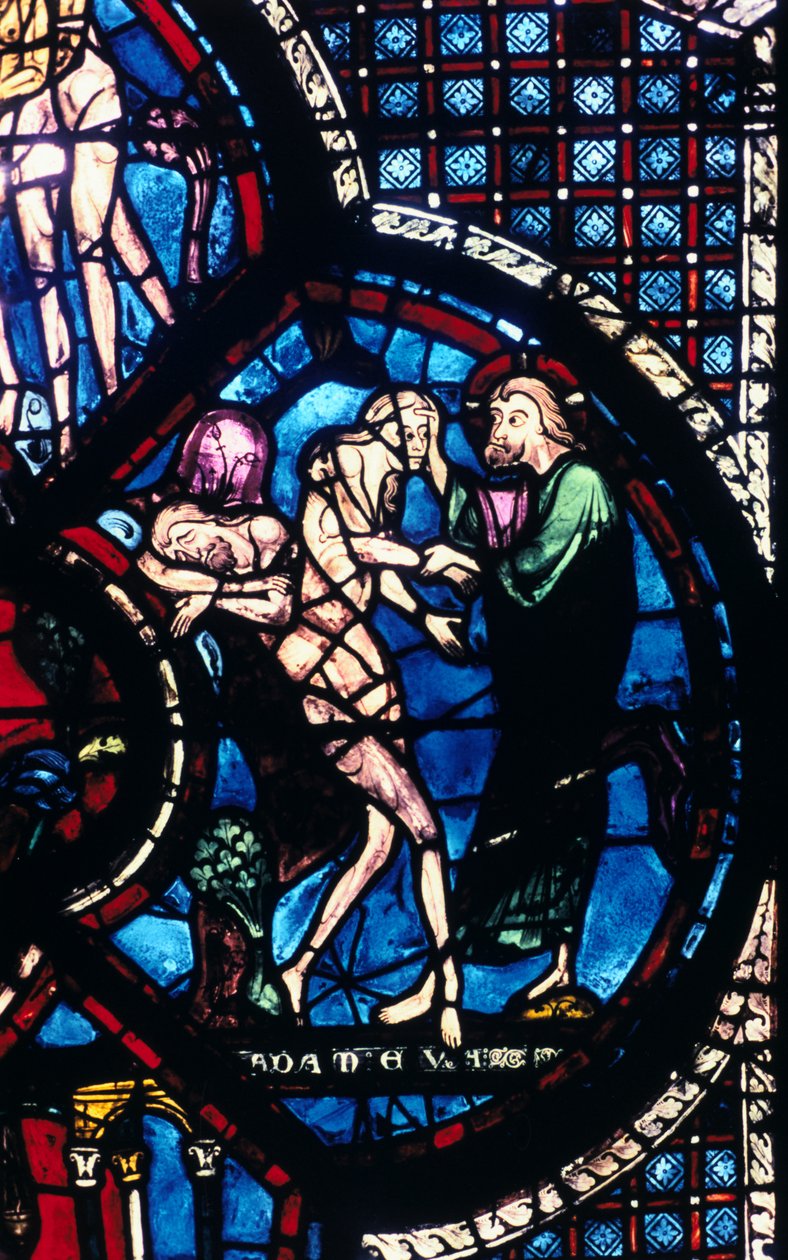 Creation of Eva, farget glass, Chartres katedral, Frankrike, 1205-1215 av Unbekannt
