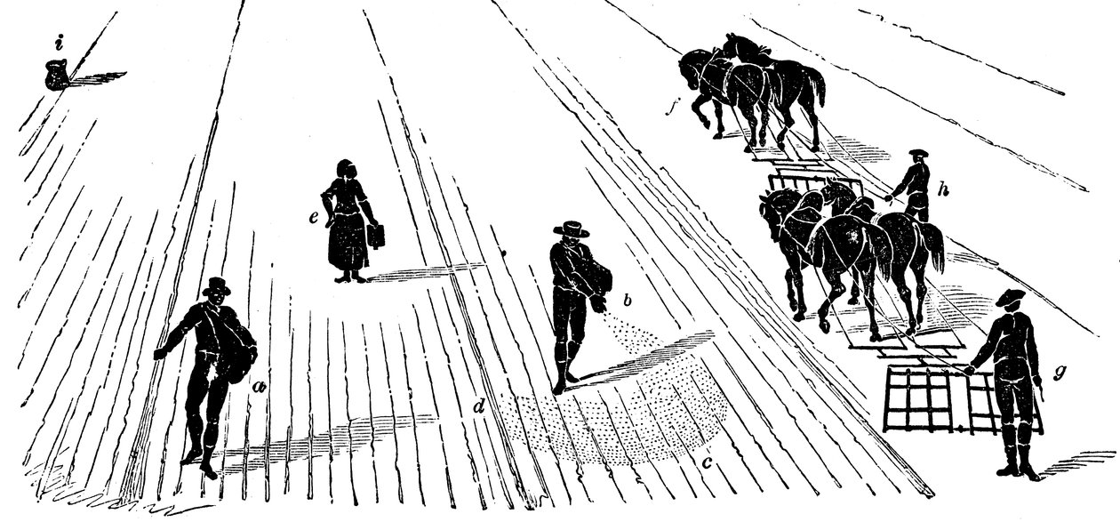Avlingsskifte: såing og harving av mais, 1855 av Unbekannt