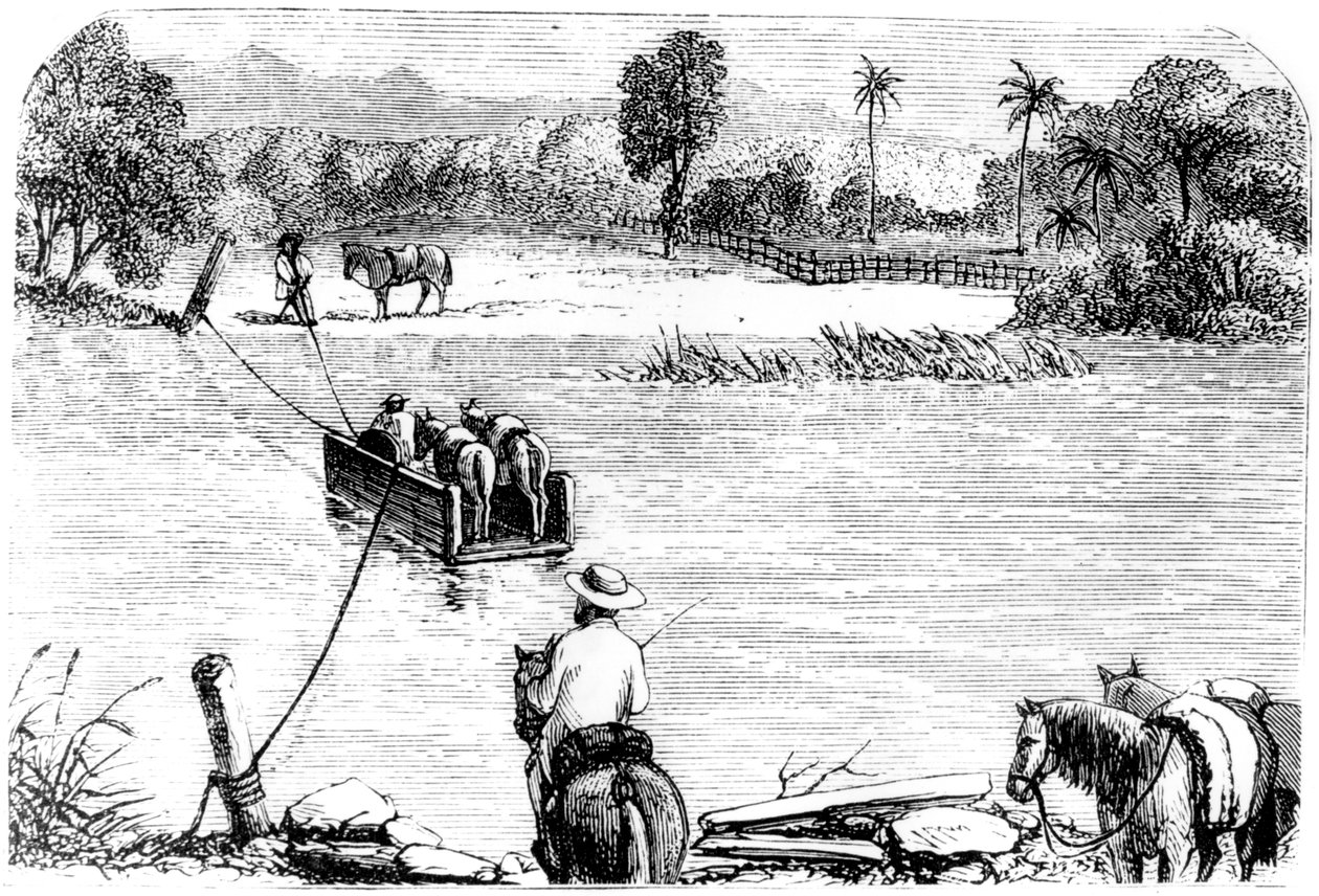 Krysser Isabella, Santo Domingo, 1873 av Unbekannt