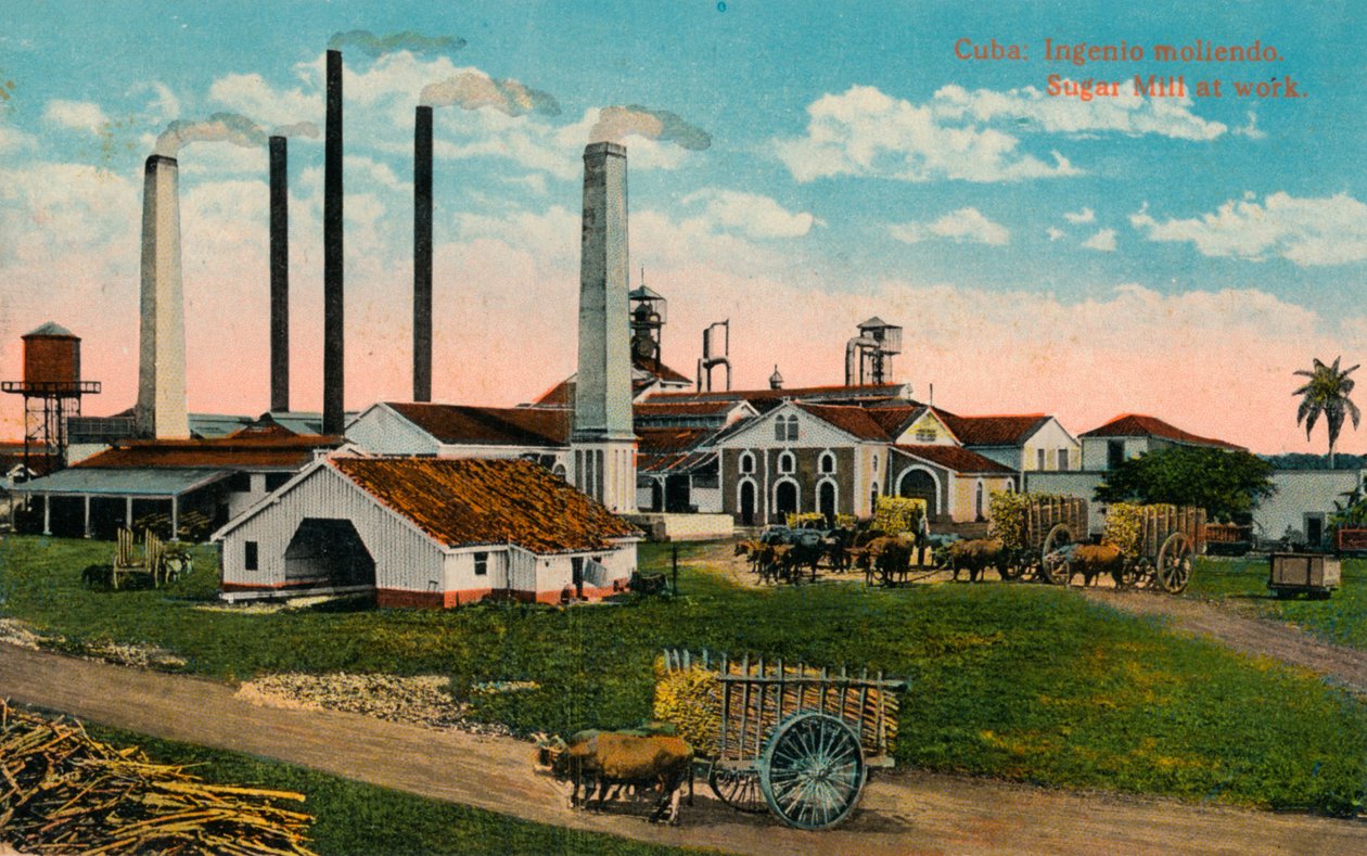 Cuba: Ingenio moliendo. Sukkermølle på jobb, c1900 av Unbekannt