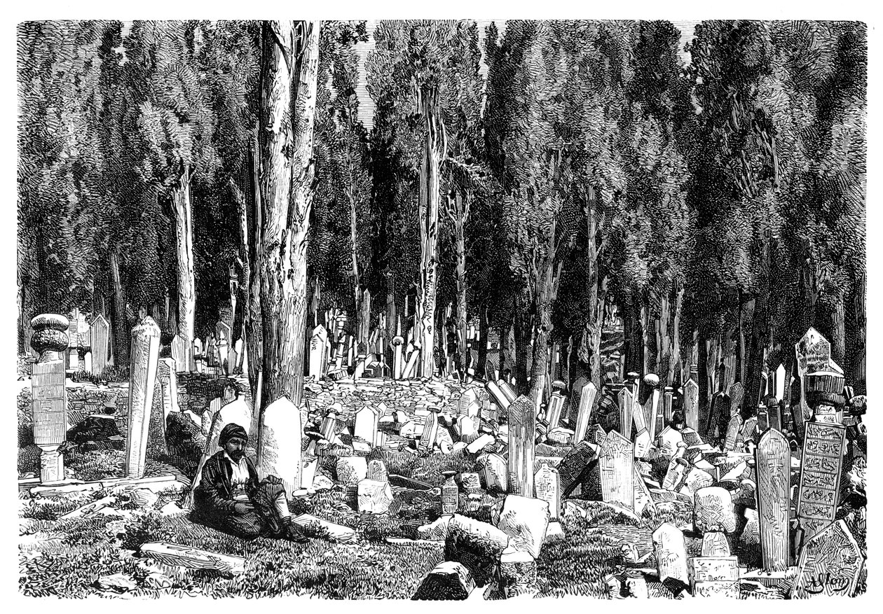 Sypresser på kirkegården i Scutari, Tyrkia, 1895 av Unbekannt