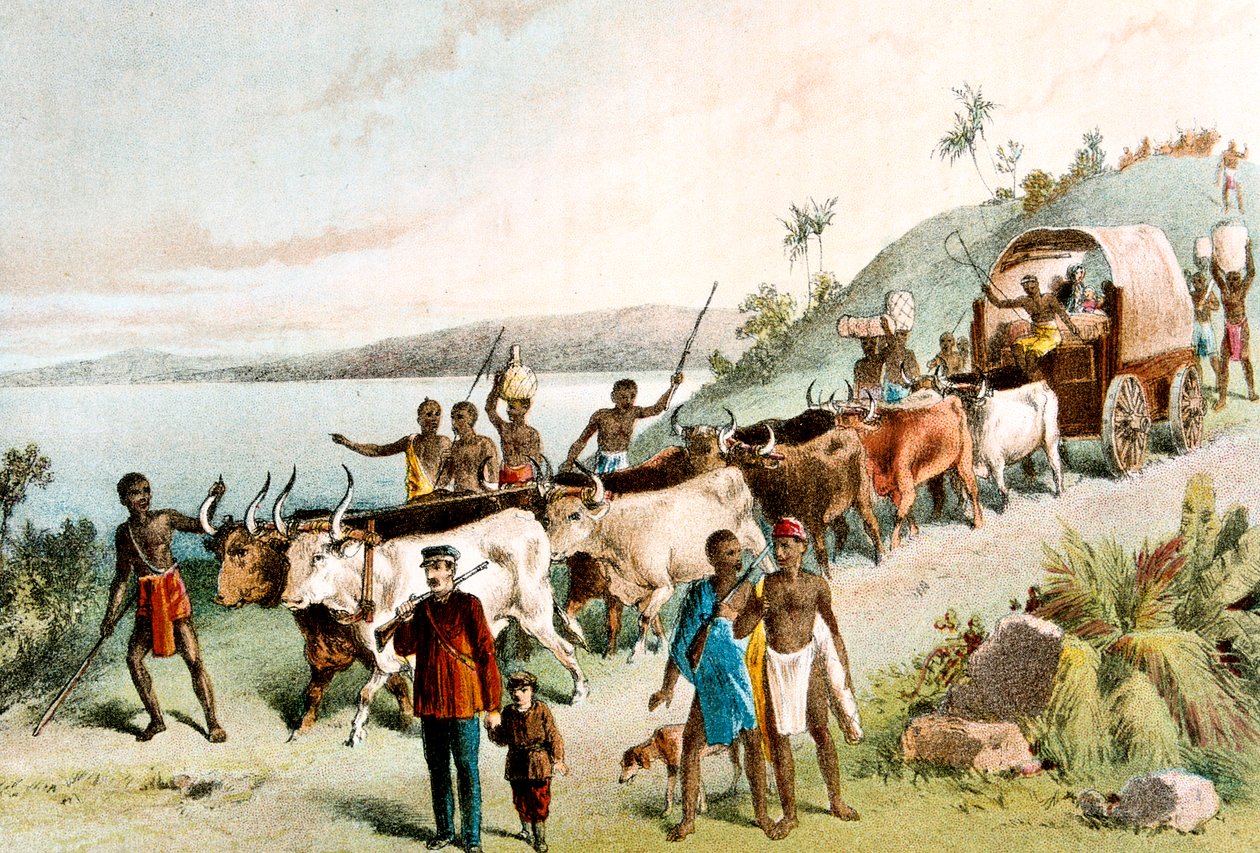 David Livingstone, skotsk misjonær og afrikansk oppdagelsesreisende, 1849 c1878 av Unbekannt