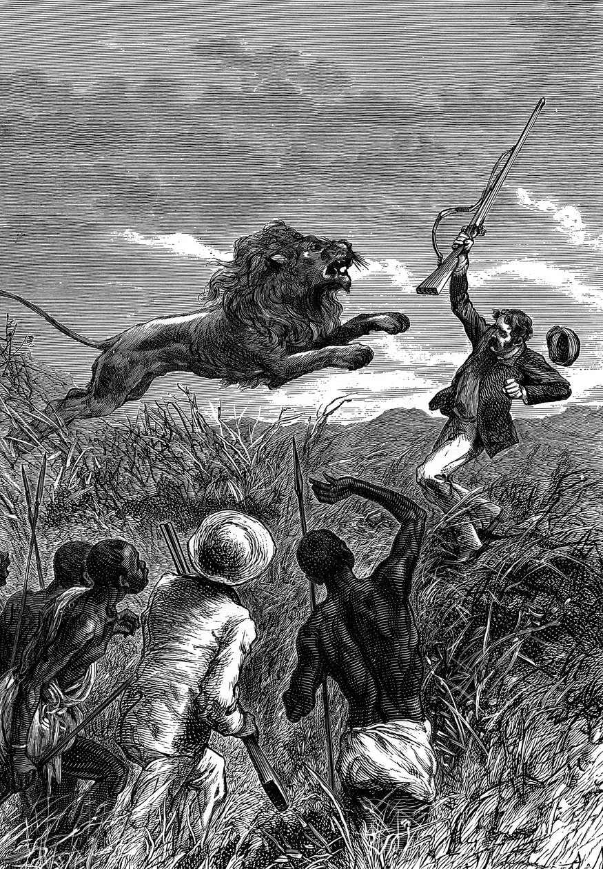 David Livingstone , skotsk misjonær og afrikansk oppdagelsesreisende, anklaget av en løve, c1860 av Unbekannt