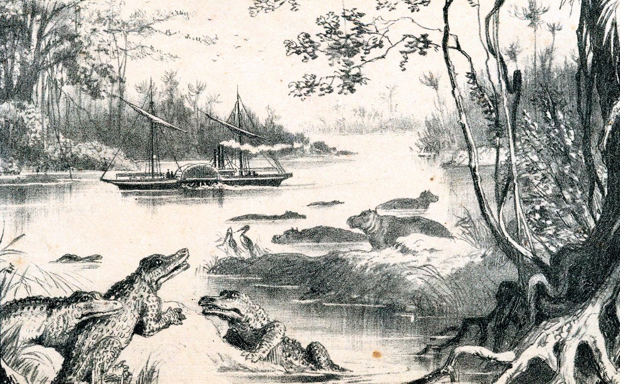 David Livingstone navigerer i Zambezi, Afrika, 1852-1864 c1878 av Unbekannt