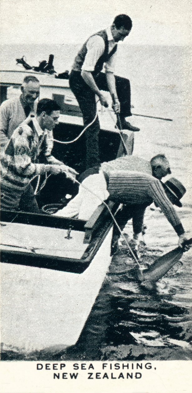 Deep Sea Fishing, New Zealand, 1927 1937 av Unbekannt