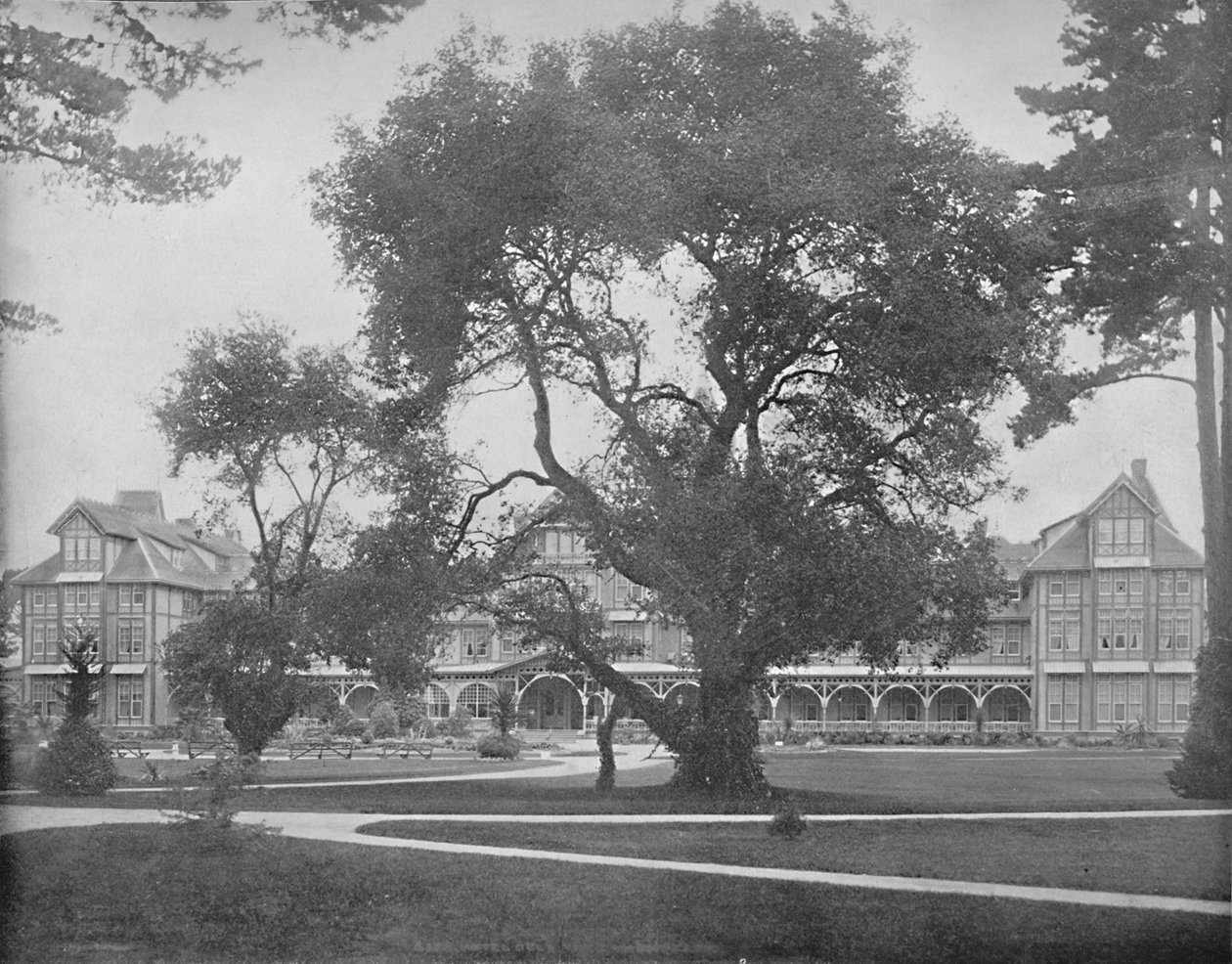 Del Monte, Monterey, California, c1897. av Unbekannt