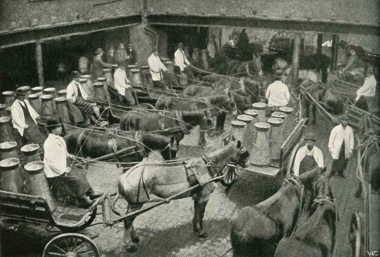 Varebiler som starter fra Mrs, Freeth og Pococks Central Depot i Vauxhall, 1902. av Unbekannt