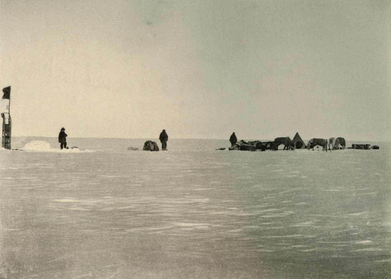 Depot A, anlagt om våren, 1908, 1909. av Unbekannt