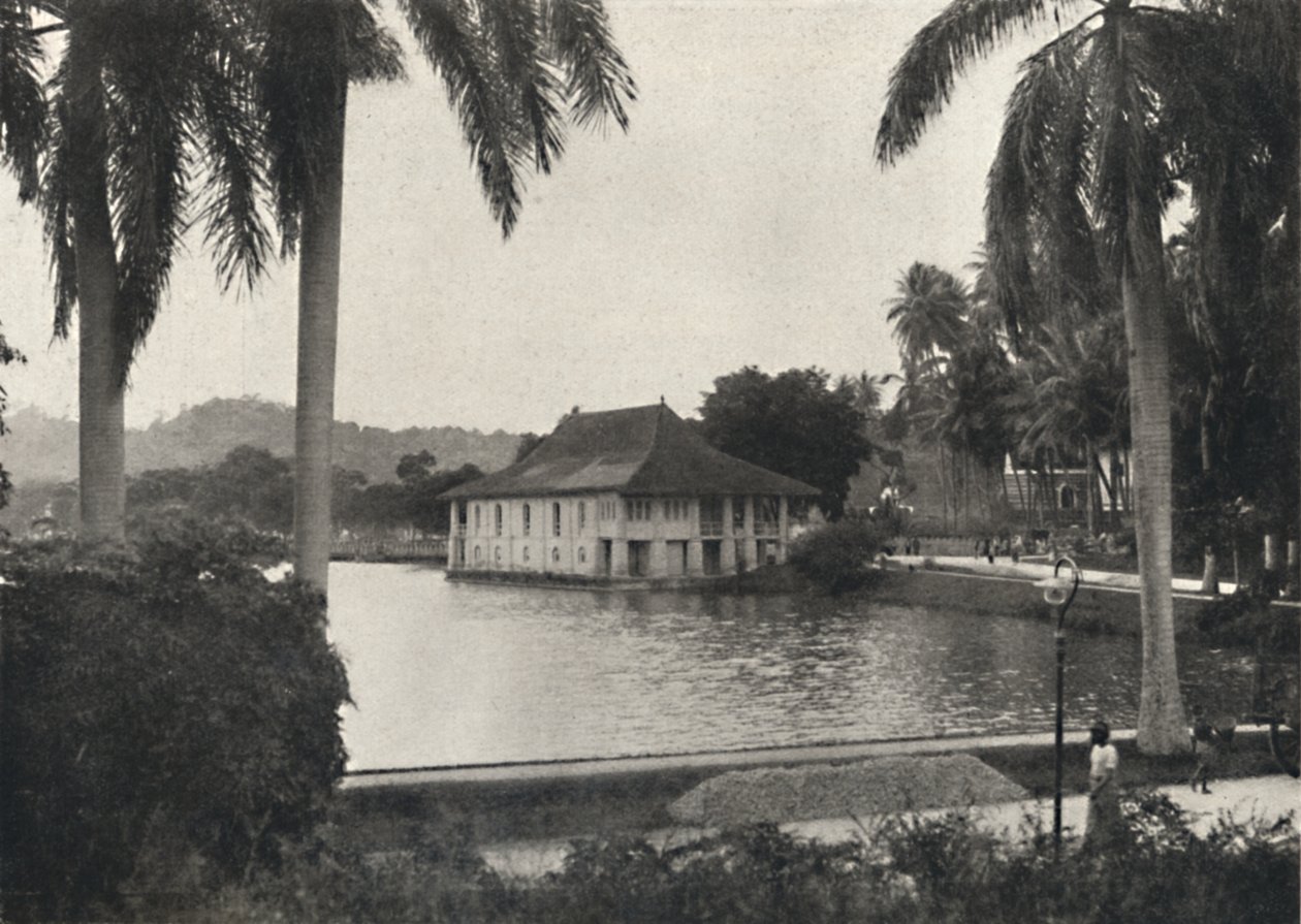 The Lake of Land med bibliotekbygningen til Temple of the Sacred Tooth Relic, 1926 av Unbekannt