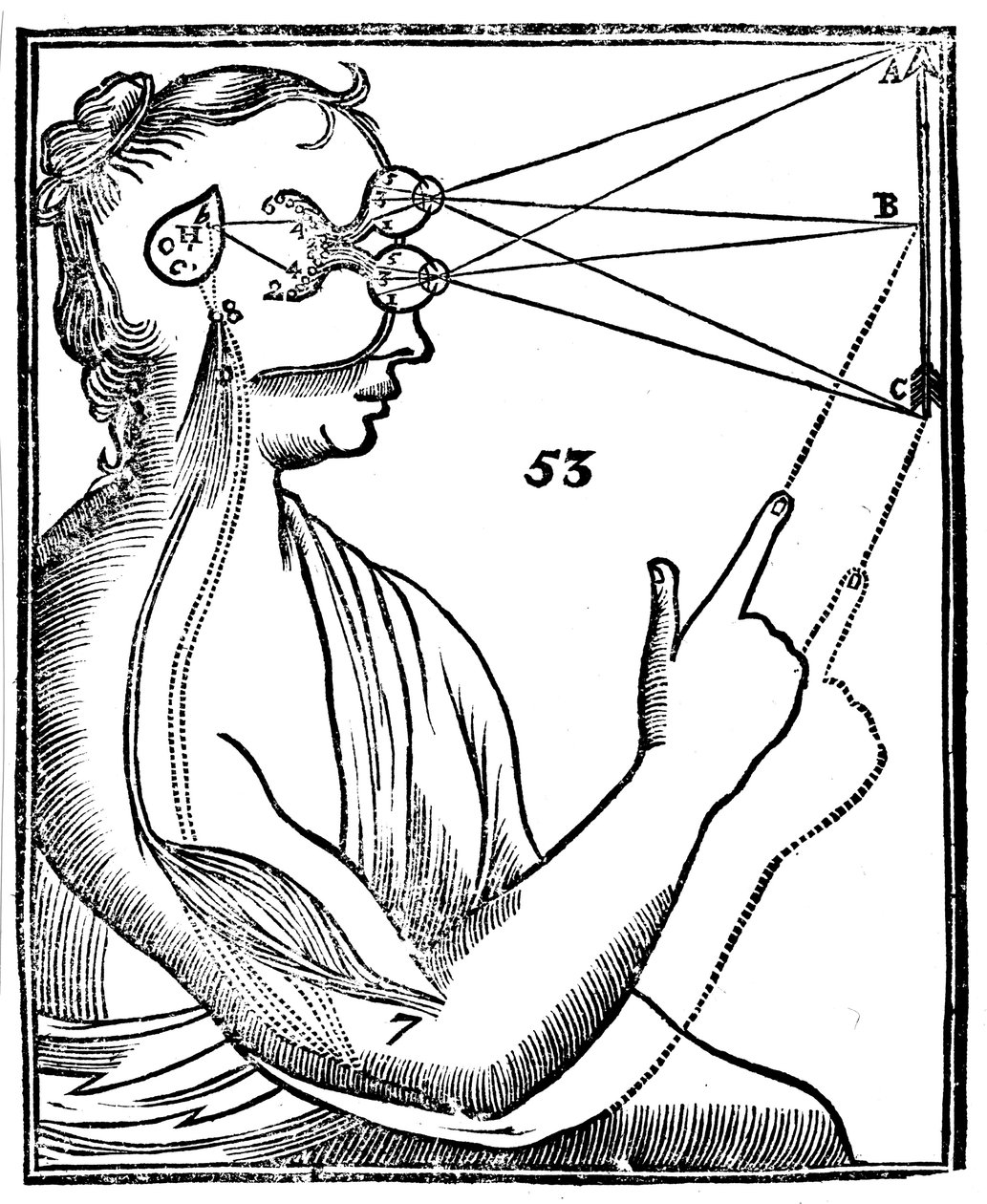 Descartes idé om visjon, 1692 av Unbekannt
