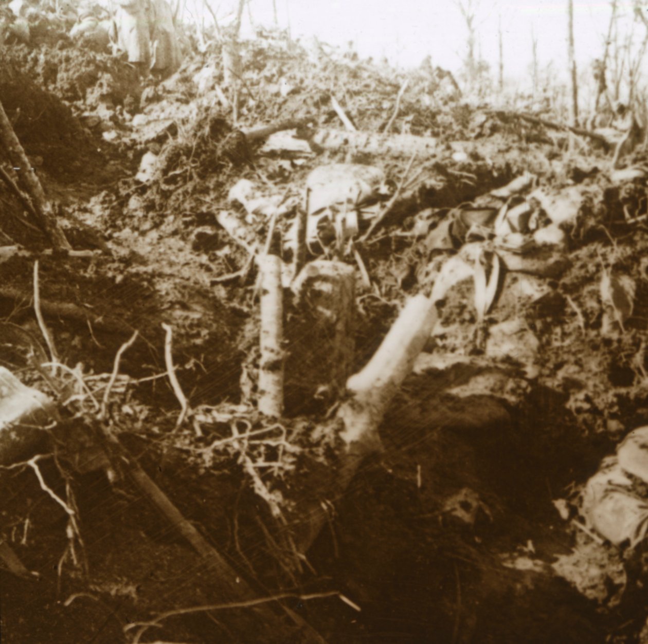 Ødelagt ly, Les Éparges, Nord-Frankrike, 1915. av Unbekannt