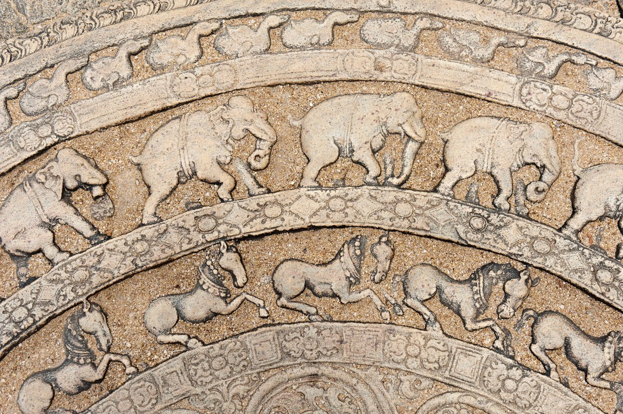 Detalj; historisk stein-relieff; månestein med dyrerepresentasjoner; elefanter; hester; stein på en trapp; rådssal til kong Parakrama Bahu I; indre bydel; Polonnaruwa; Sri Lanka; Asia av Unbekannt