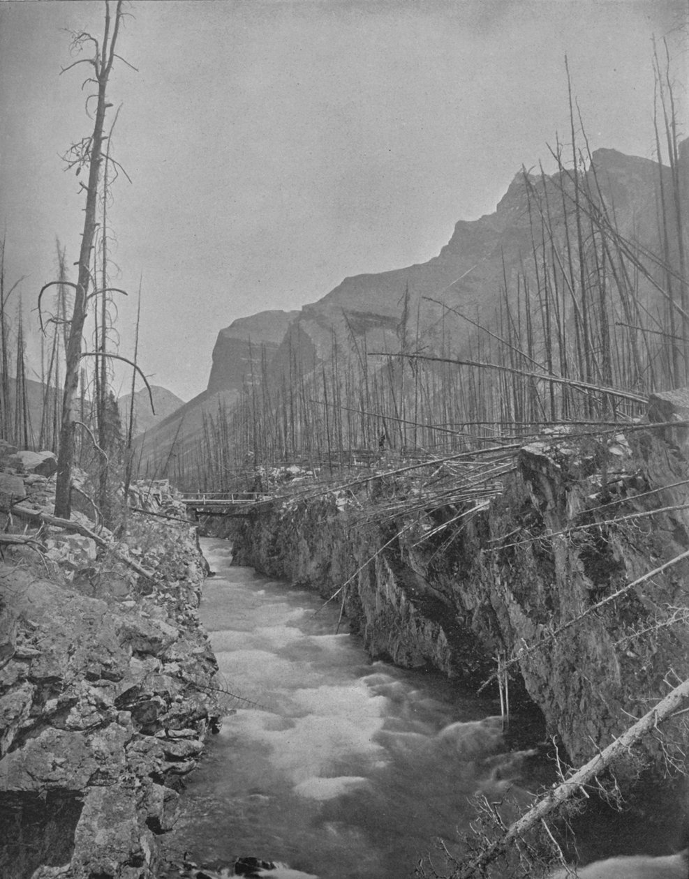 Devils Canyon, Banff, N. W. T., Canada, c1897. av Unbekannt