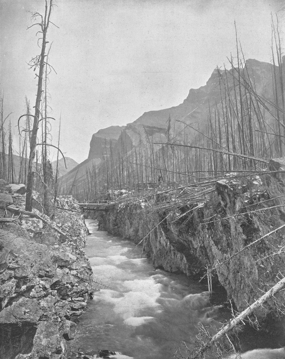 Devils Canyon, Banff, North West Territories, Canada, c1900. av Unbekannt
