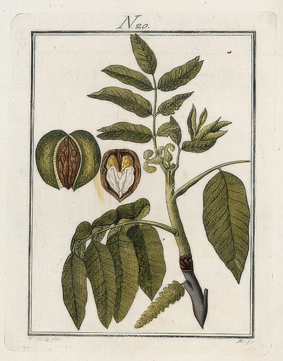 Valnøtten. Verden i bilder. Bind 3. Byggmester. Wien. 1790 av Unbekannt