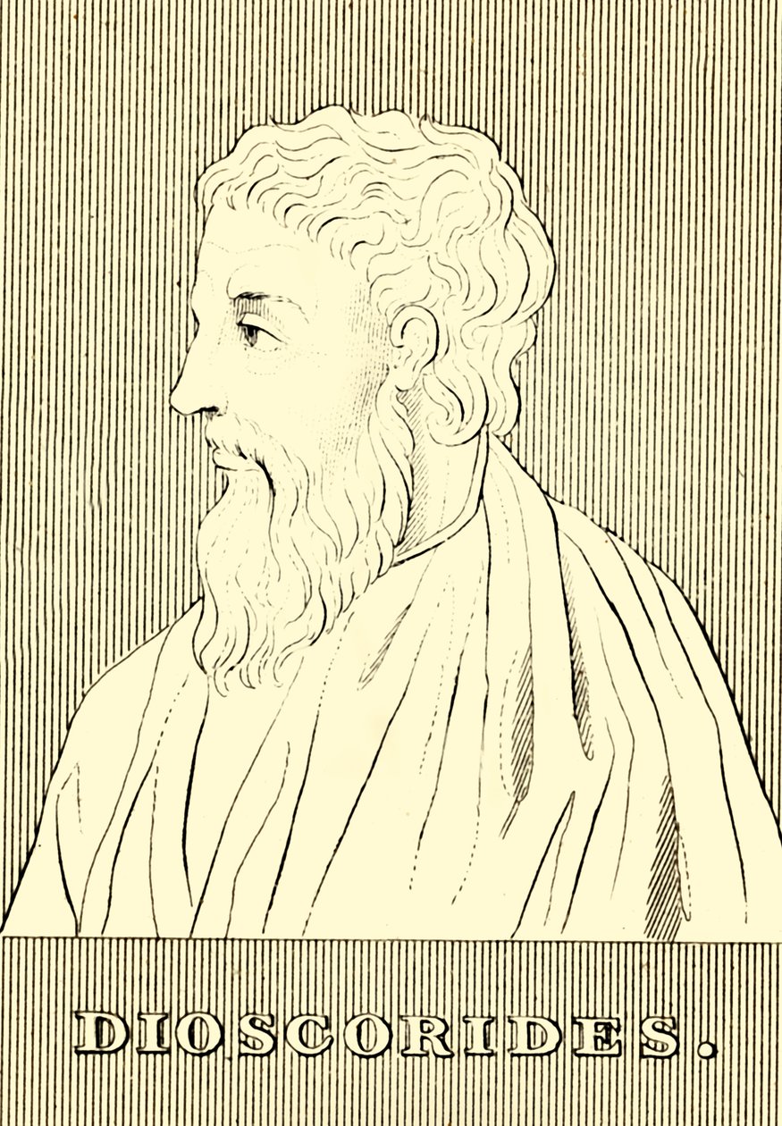 Dioscorides, c40-90 e.Kr., 1830 av Unbekannt