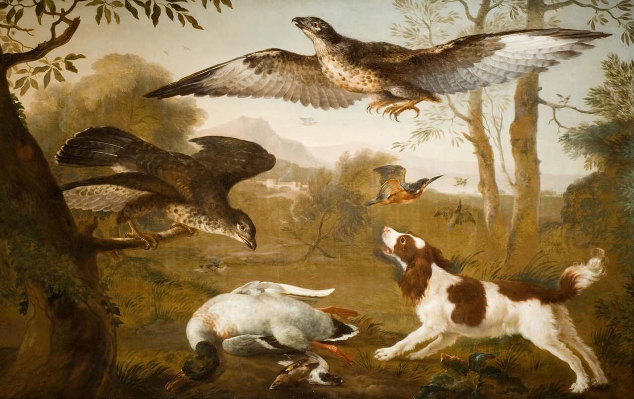 Hund som vokter en død and fra rovfugler, 1700-1800. av Unbekannt