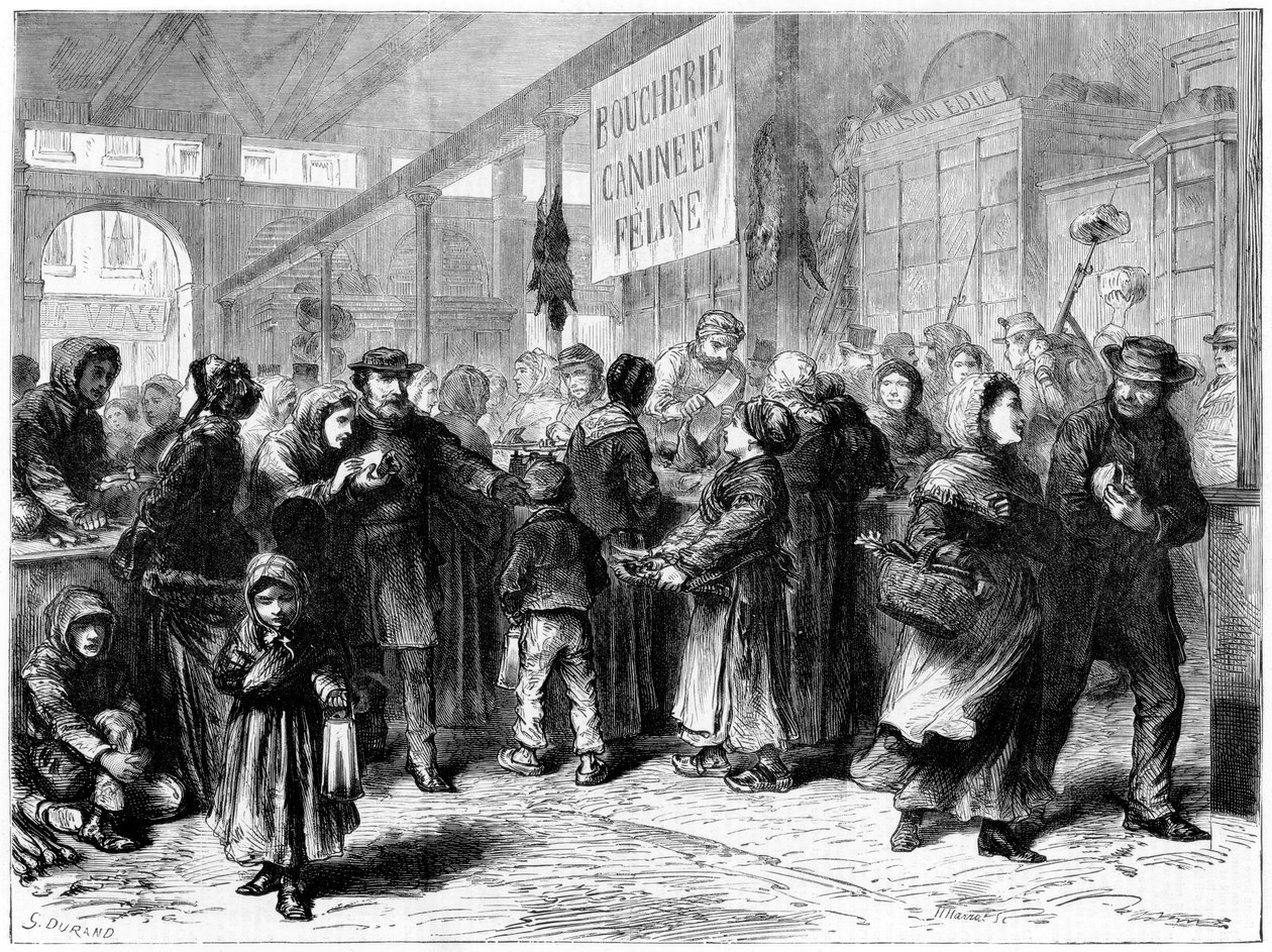 Hunde- og kattekjøttslakter i Paris, fransk-prøyssisk krig, 1871 av Unbekannt