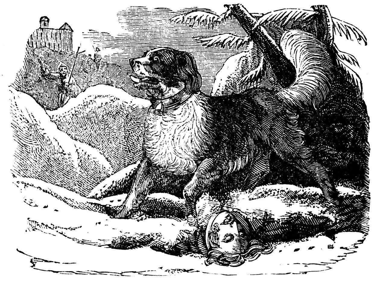 Hund fra Hospice of St Bernard finner en reisende i snøen, c1840 av Unbekannt