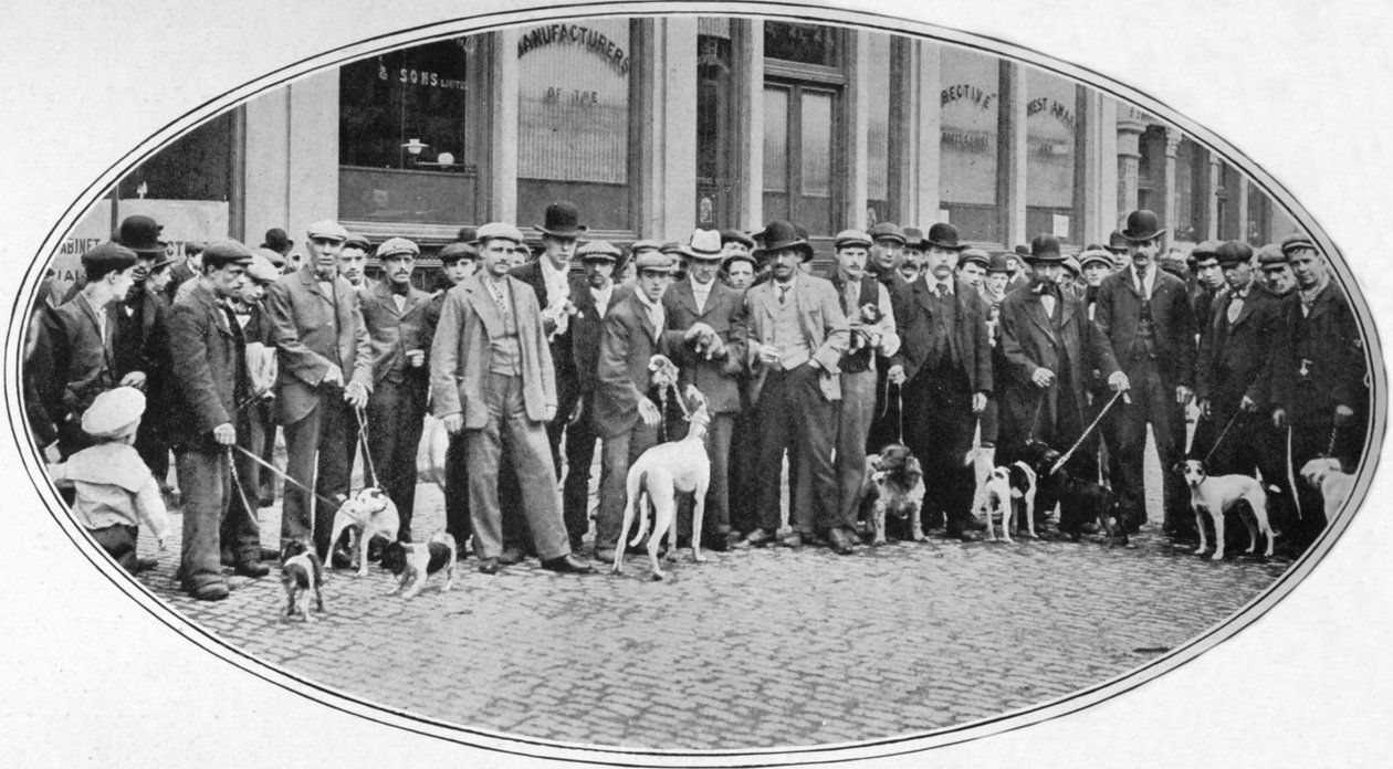 Hundeselgere og -kjøpere i East End, London, c1900 1901 av Unbekannt