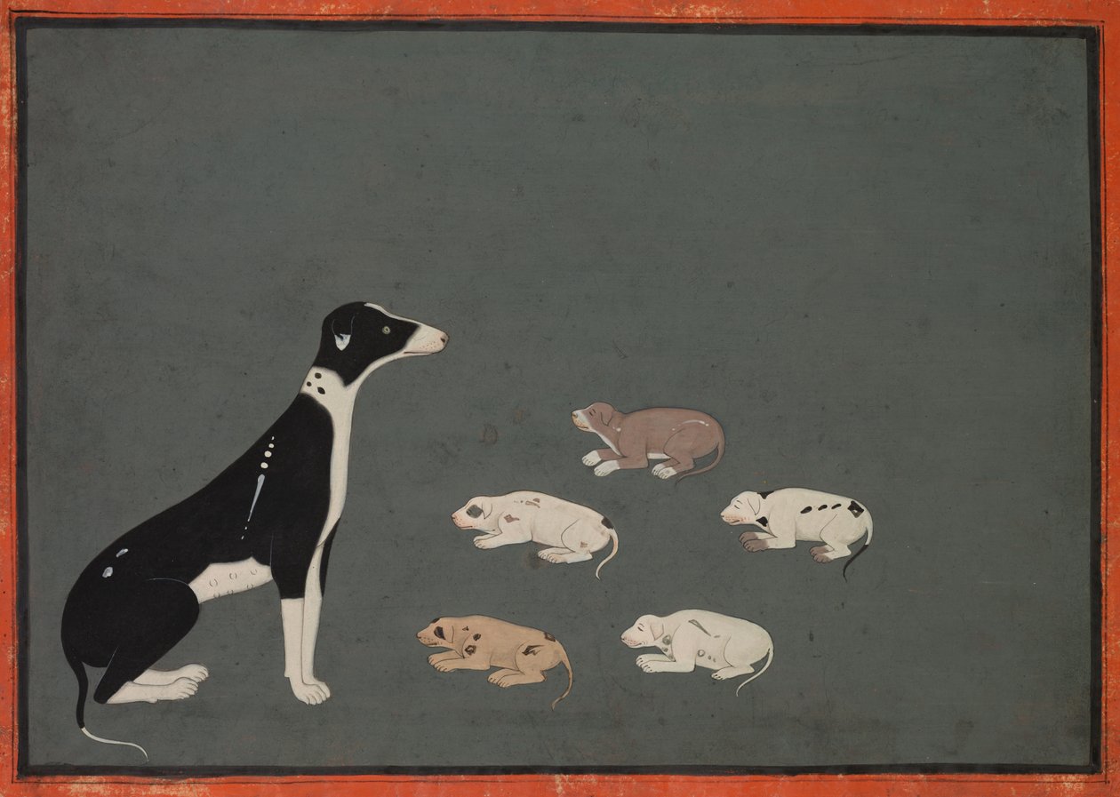 Hund med valper, ca. 1780. av Unbekannt