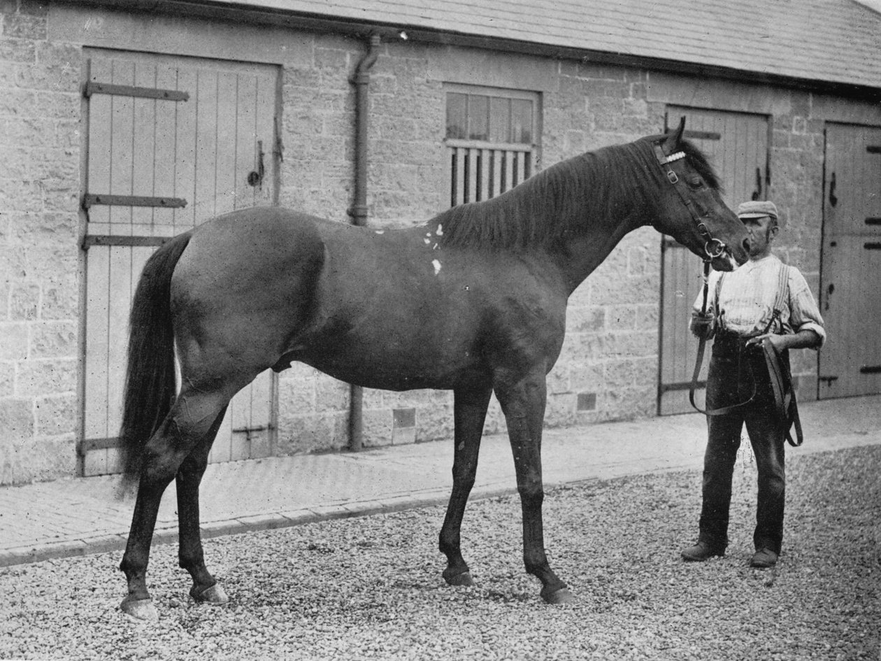 Donovan, 1886-1905, 1911 av Unbekannt