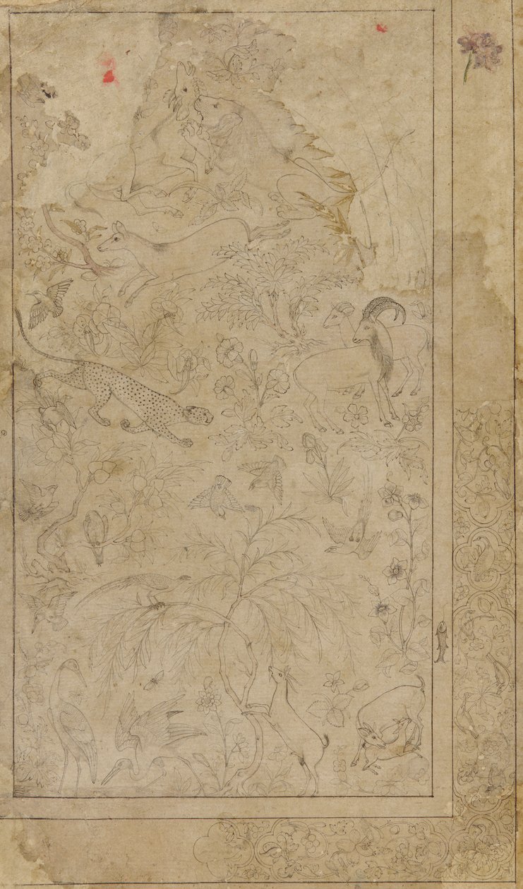 Tegning av dyr og planter, tidlig 1600-tall. av Unbekannt