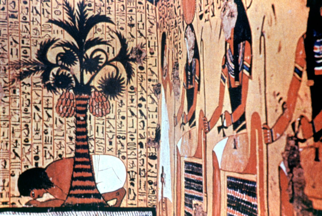 Drikker fra elven, tempelveggmaleri, Theben, Egypt av Unbekannt