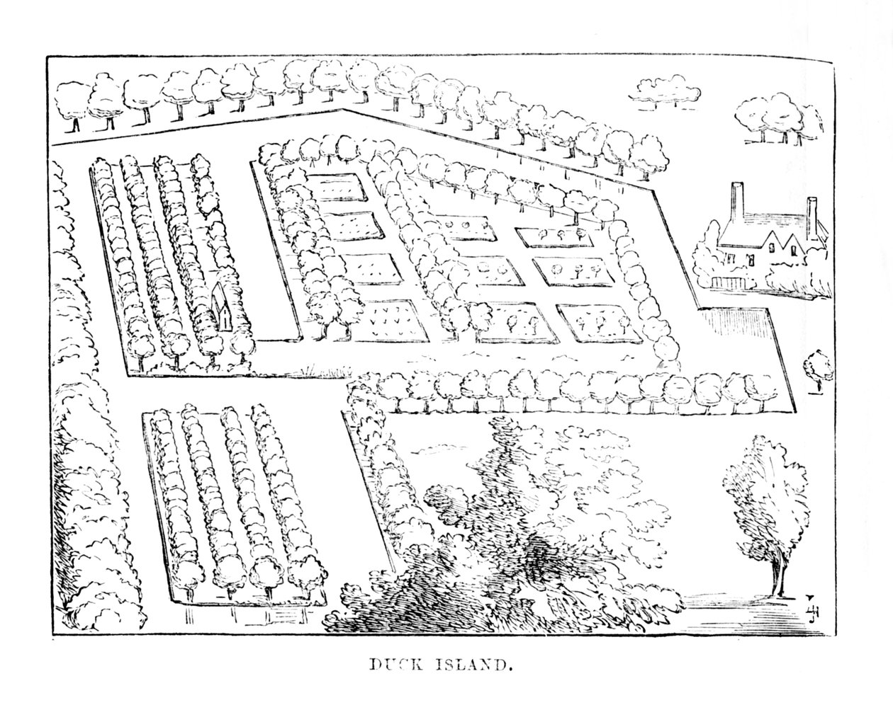 Duck Island, ca 1870 av Unbekannt