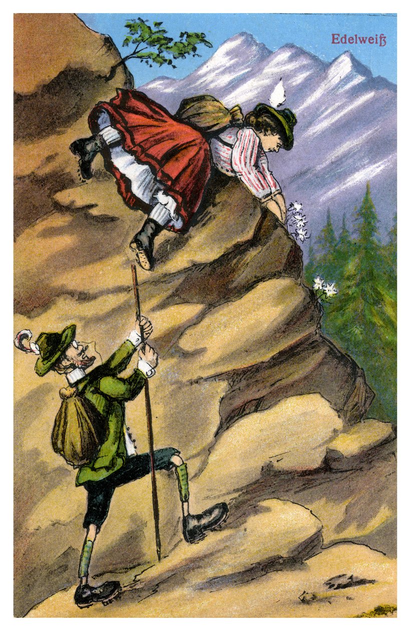 Edelweiss, slutten av 1800- eller begynnelsen av 1900-tallet av Unbekannt