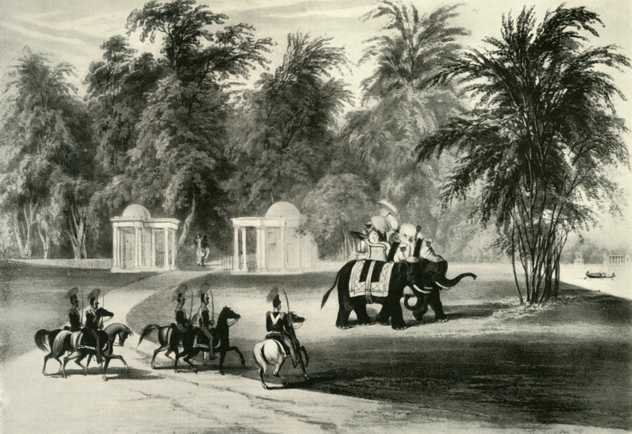 Elefanter og kroppsvakt i Barrackpore Park, 1820, 1925. av Unbekannt