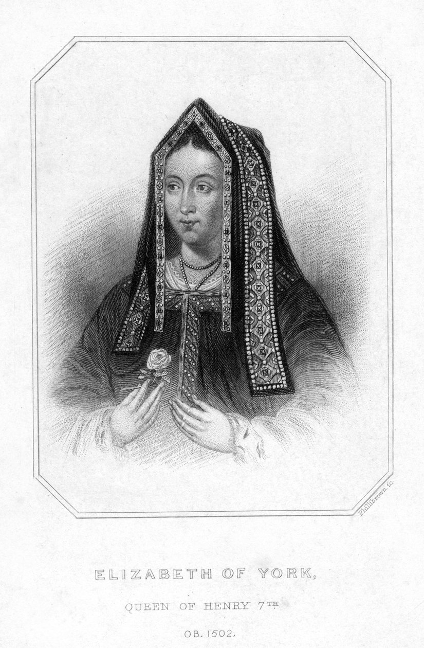 Elizabeth av York, dronningkonsort av kong Henry VII av Unbekannt