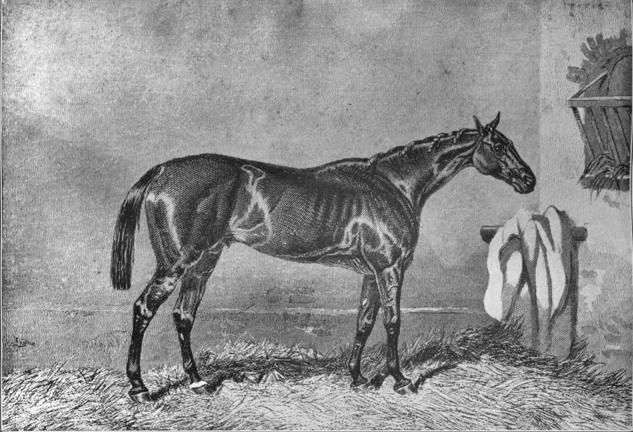Ellington, 1853-1870, 1911 av Unbekannt