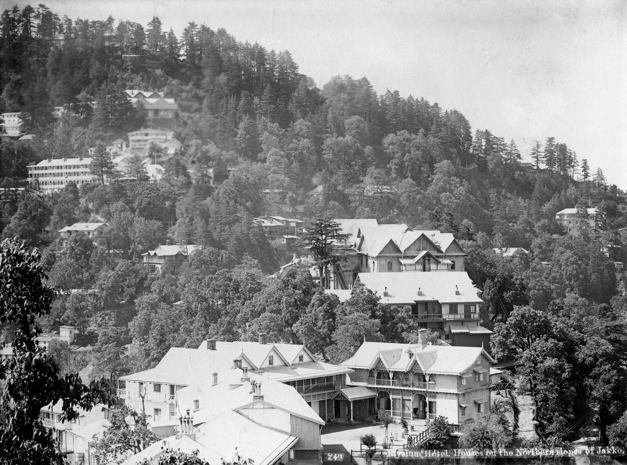 Elysium Hotel, hus i de nordlige skråningene av Jakko, Shimla, India, tidlig på 1900-tallet av Unbekannt