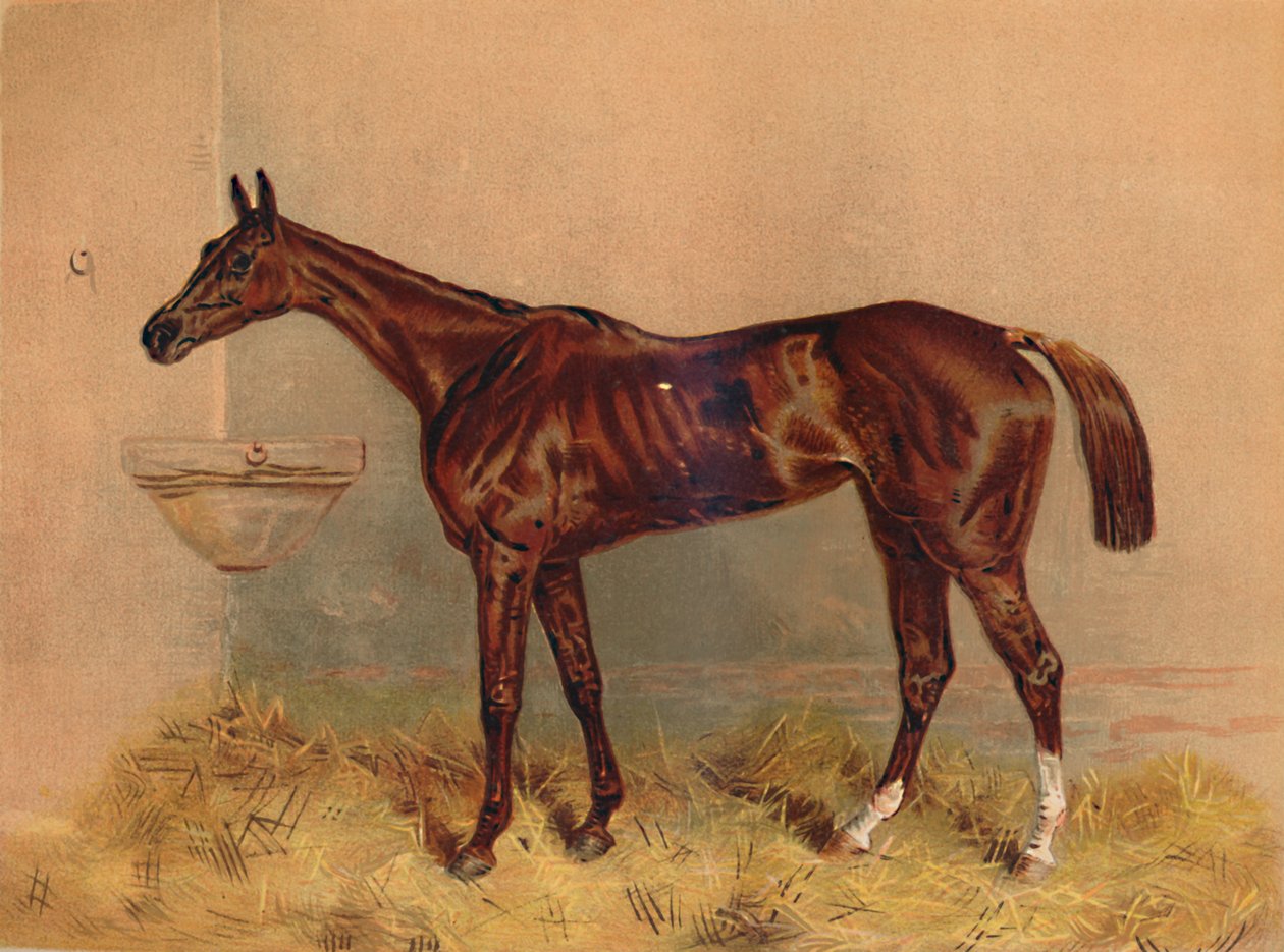 Emblem, hinderhoppe, c1879. av Unbekannt