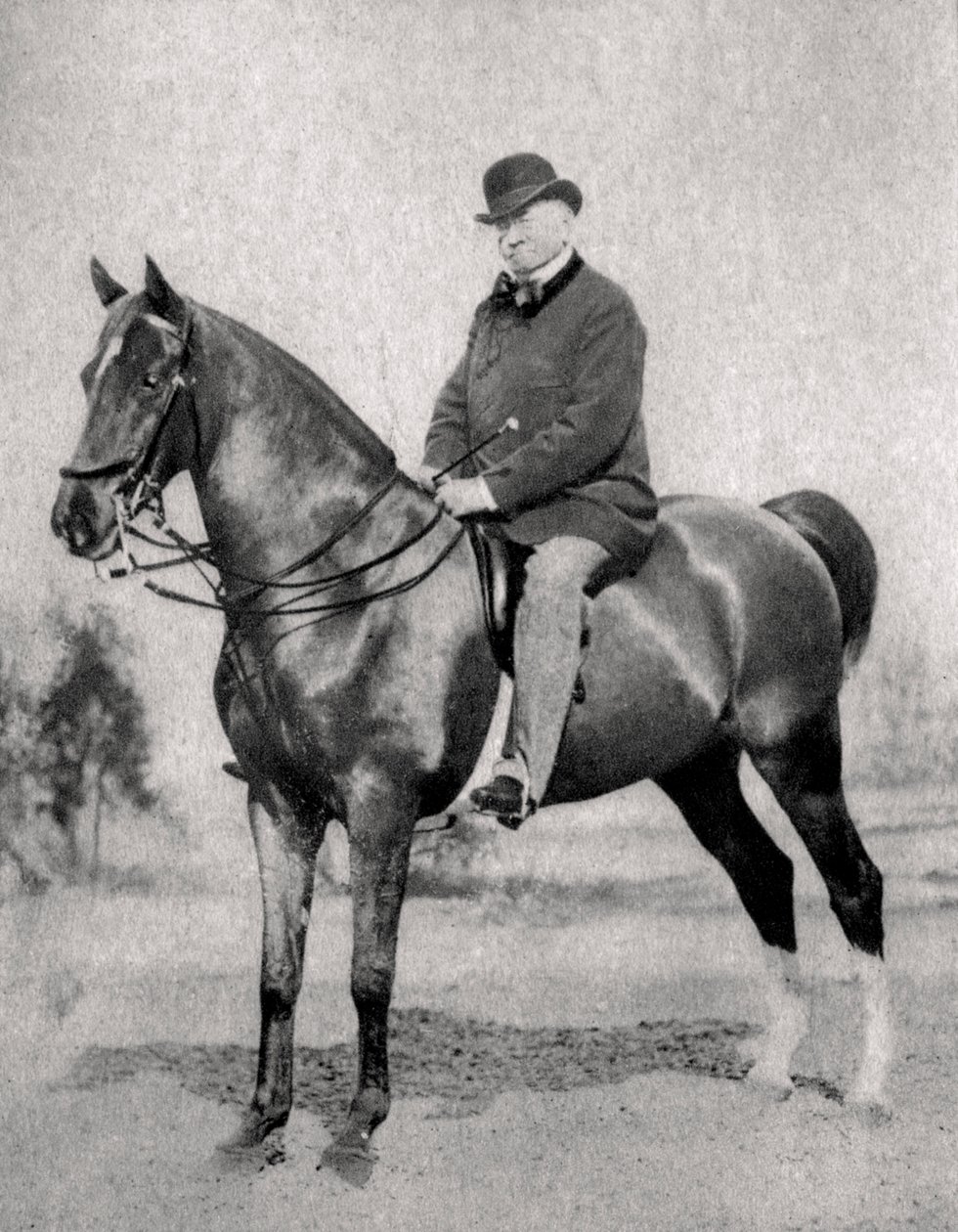 Emile de Girardin , fransk journalist, publisist og politiker, 1866 av Unbekannt