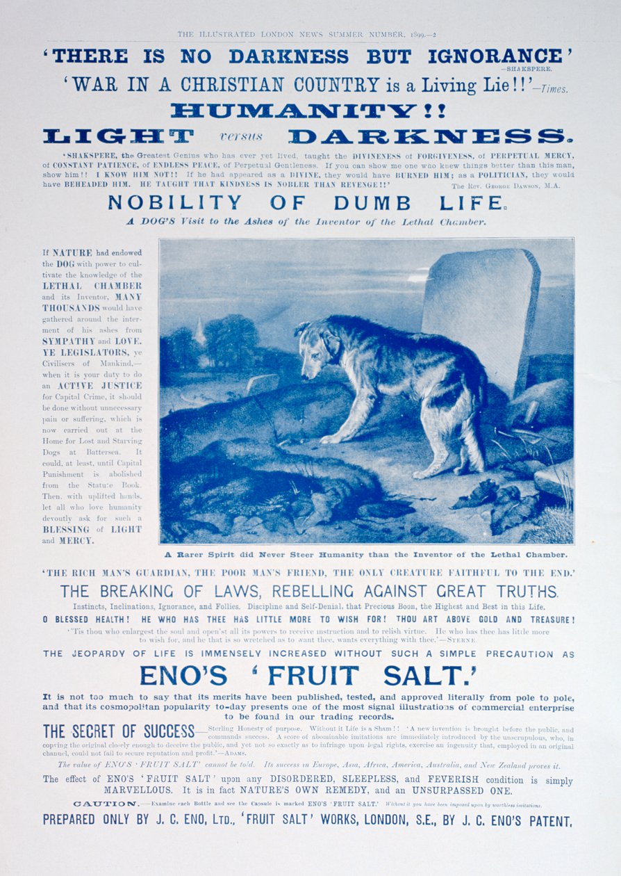 Enos fruktsalt-annonse, 1899 av Unbekannt