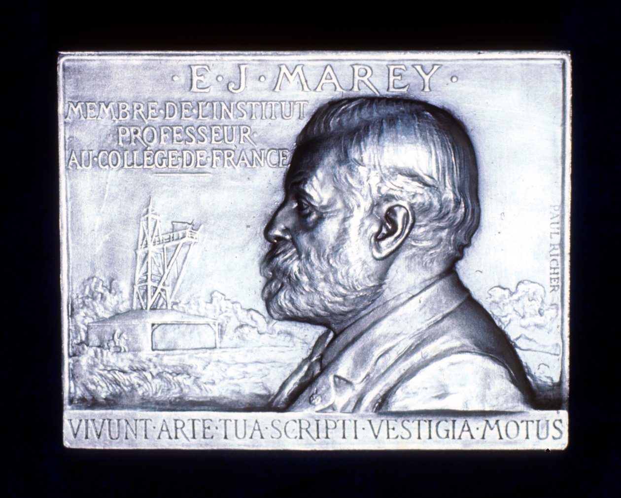 Etienne Jules Marey 1830-1903, fransk fysiolog, 1800-tallet av Unbekannt
