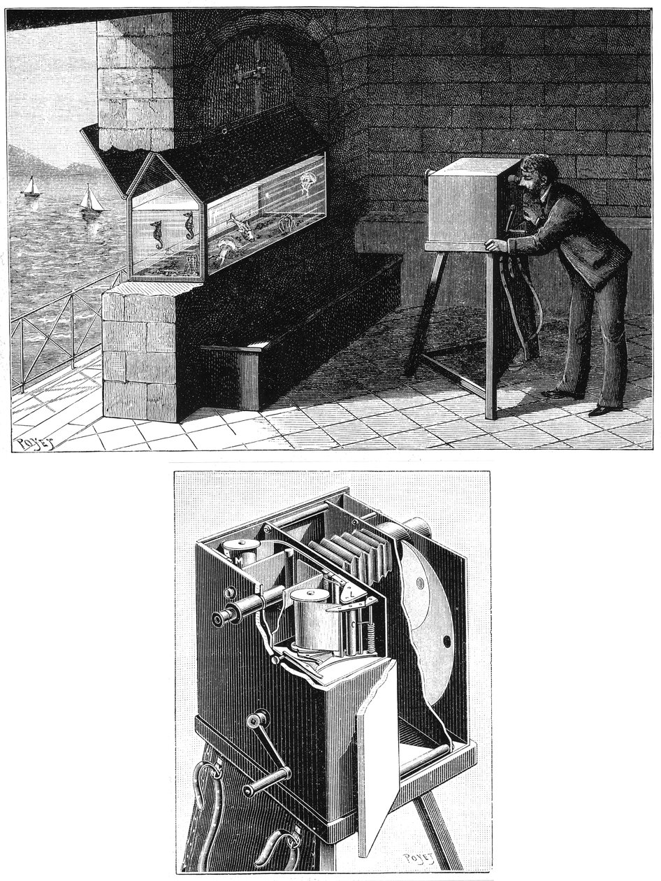 Etienne Jules Marey 1830-1903, med filmkamera, 1903 av Unbekannt