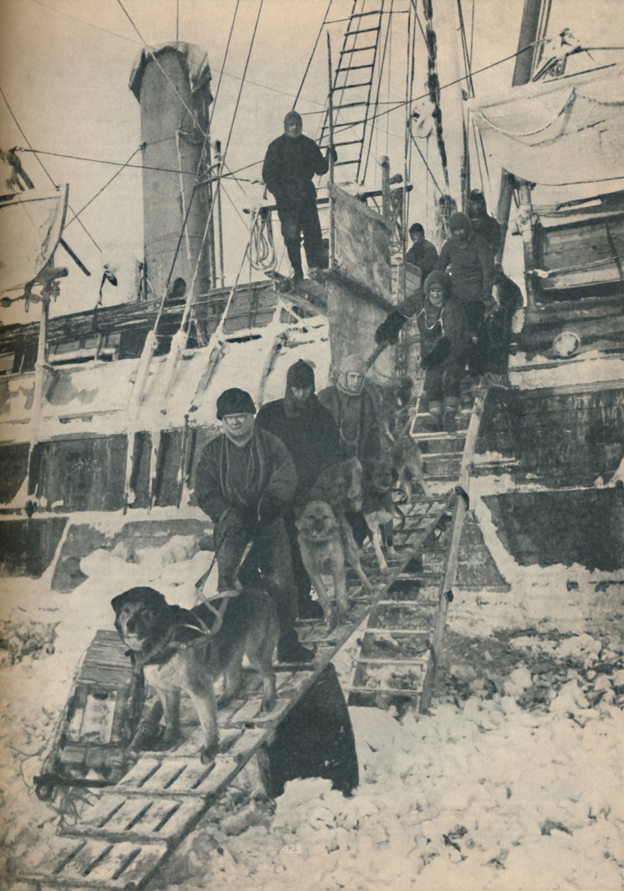 Exercising the Dogs, 1936 av Unbekannt