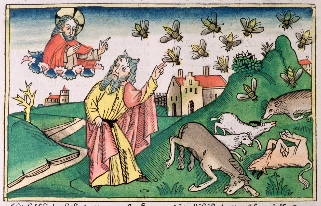 2. Mosebok 8:20-32: Moses og fluesvermen, en av Egypts syv plager av Unbekannt