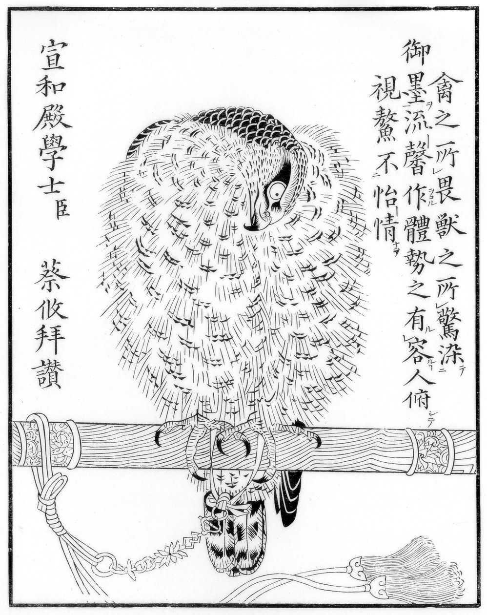 Falcon, 1886 av Unbekannt