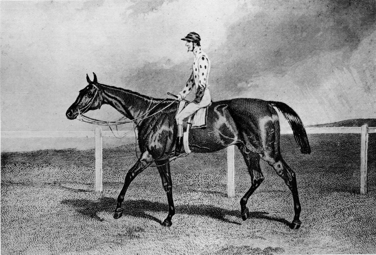 Fandango, 1800-tallet, 1911 av Unbekannt